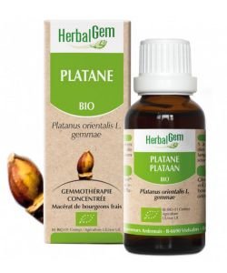 Platane (Platanus orientalis) bourgeon BIO, 15 ml